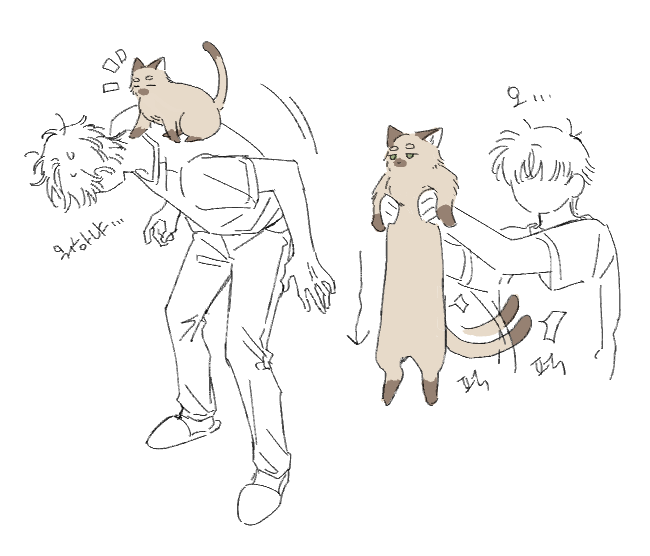 hgj.png