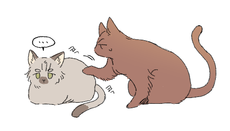 dsf.png